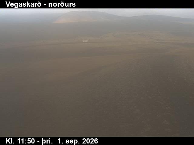 vegaskard_4-1788271278.jpg
