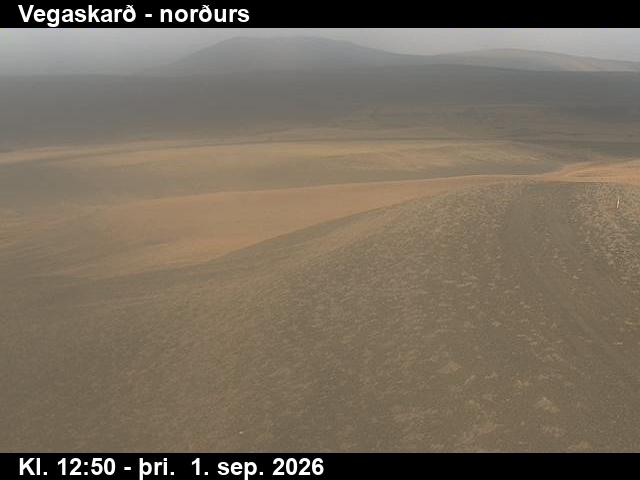 vegaskard_4-1788275137.jpg
