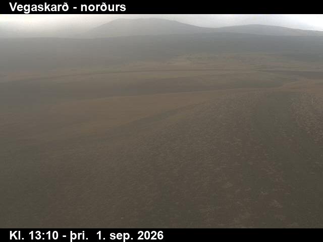 vegaskard_4-1788276346.jpg