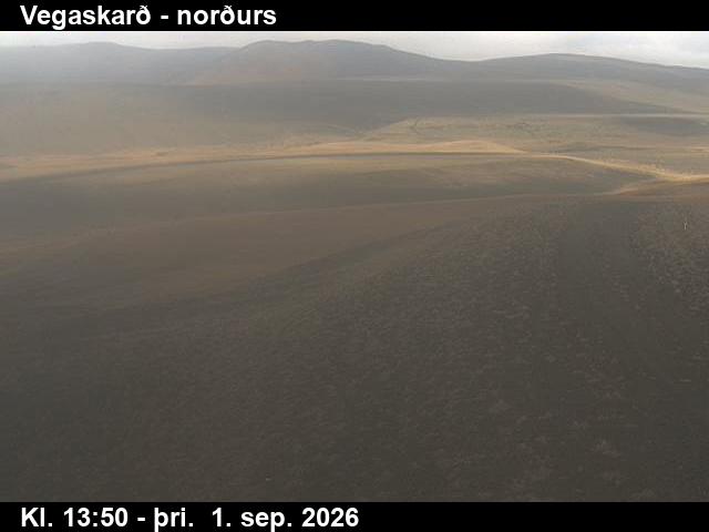 vegaskard_4-1788278762.jpg