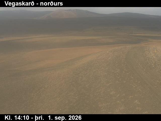 vegaskard_4-1788279955.jpg