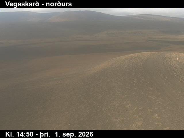 vegaskard_4-1788282383.jpg