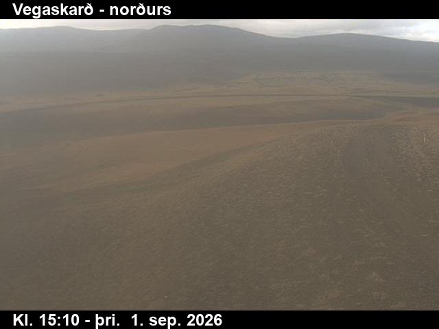 vegaskard_4-1788283551.jpg