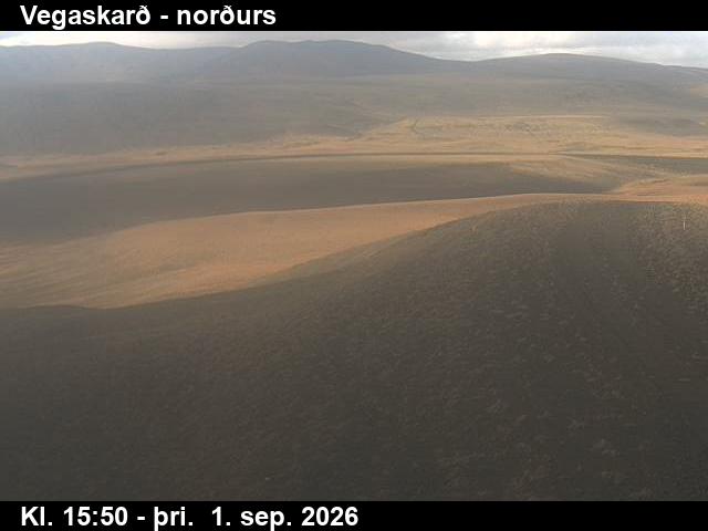 vegaskard_4-1788285939.jpg