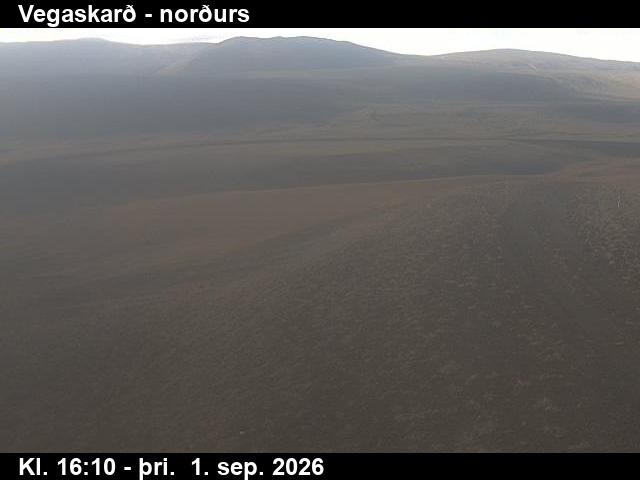 vegaskard_4-1788287171.jpg