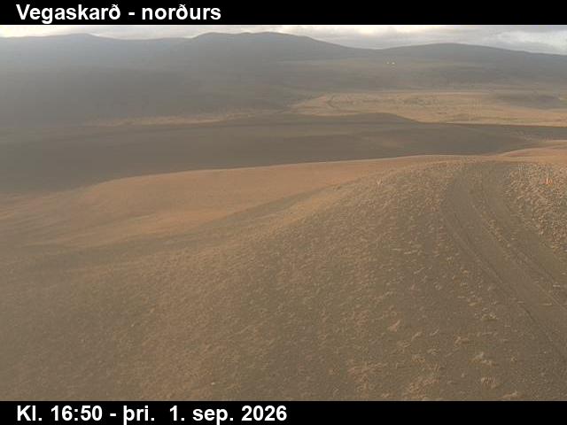 vegaskard_4-1788289265.jpg