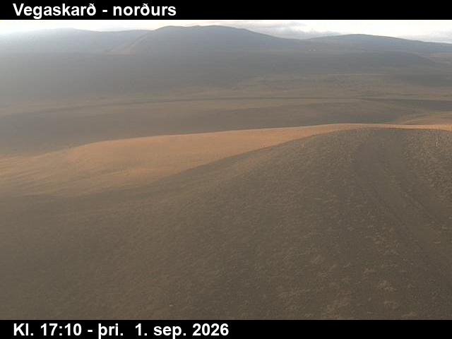 vegaskard_4-1788290733.jpg