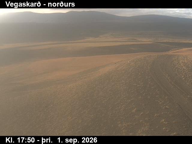vegaskard_4-1788293161.jpg
