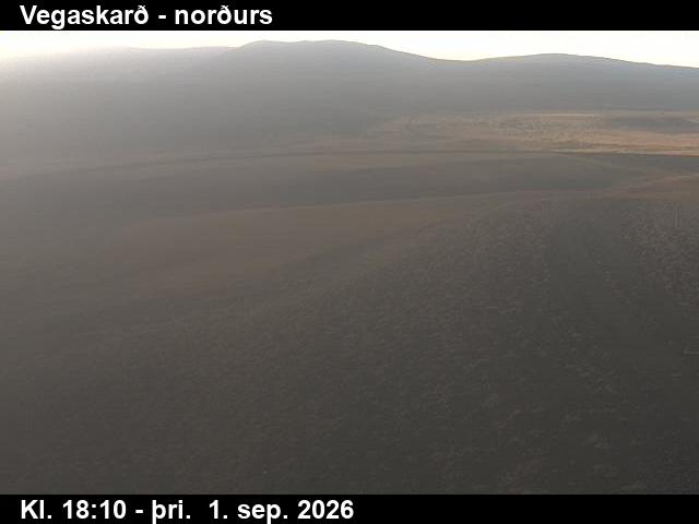 vegaskard_4-1788294334.jpg