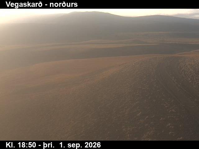 vegaskard_4-1788296545.jpg
