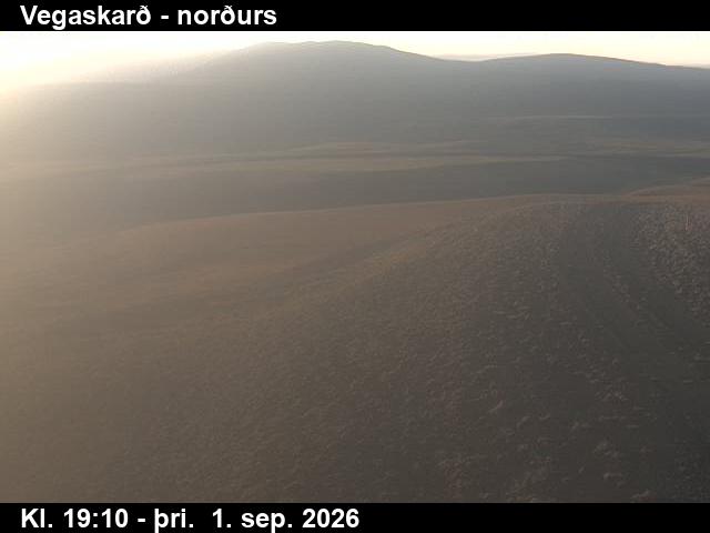 vegaskard_4-1788297929.jpg
