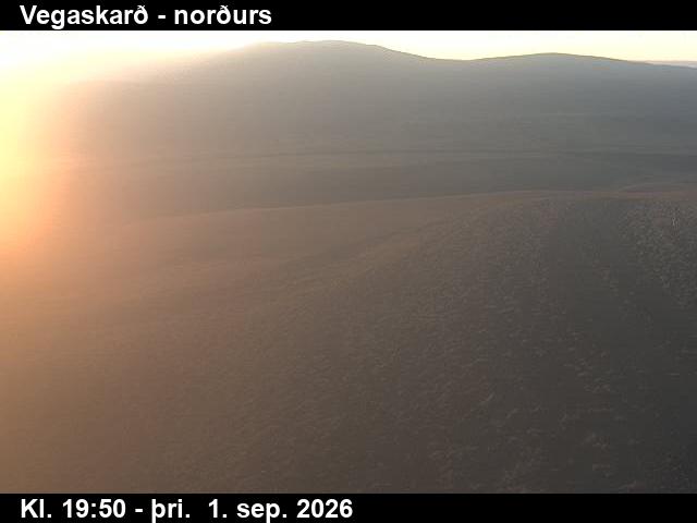 vegaskard_4-1788300068.jpg