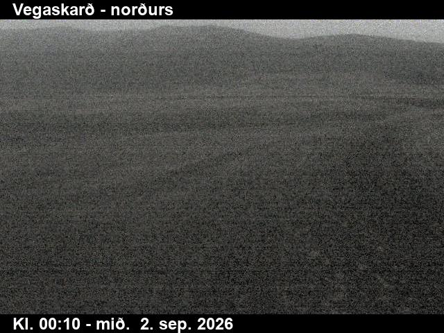 vegaskard_4-1788315999.jpg