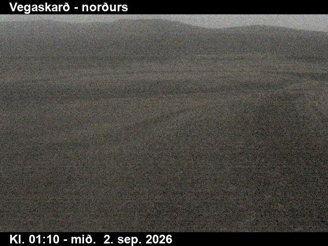 vegaskard_4-1788319529.jpg