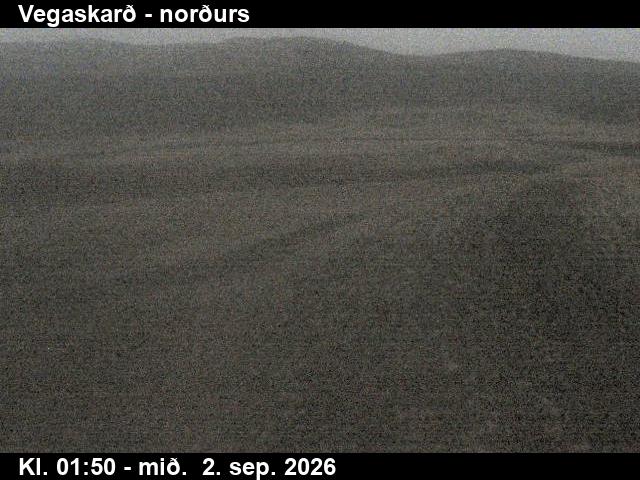 vegaskard_4-1788322004.jpg