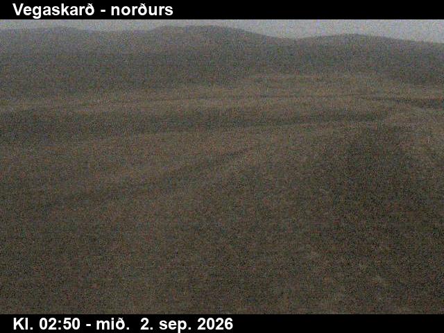 vegaskard_4-1788325579.jpg