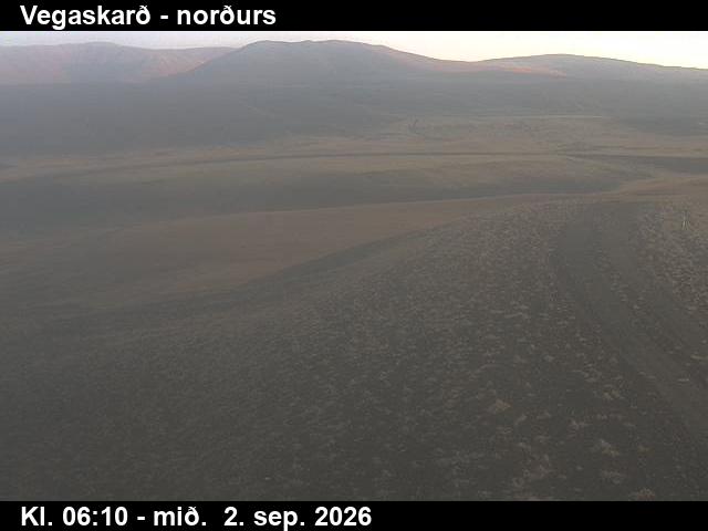 vegaskard_4-1788337677.jpg