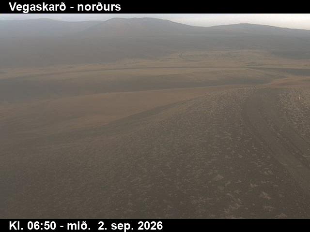 vegaskard_4-1788339975.jpg