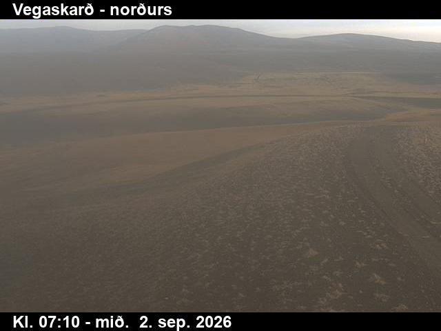 vegaskard_4-1788341133.jpg