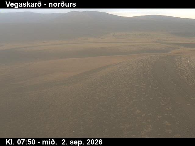 vegaskard_4-1788343574.jpg
