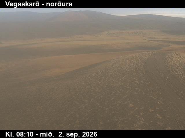 vegaskard_4-1788344790.jpg