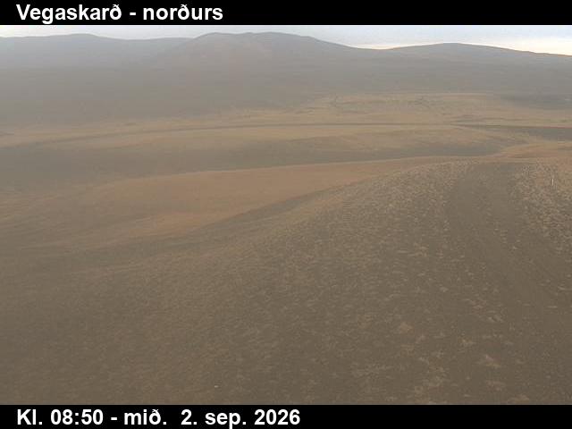 vegaskard_4-1788346909.jpg