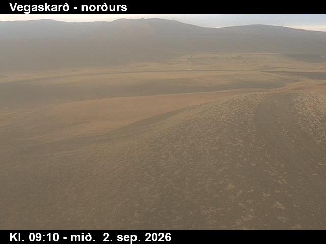vegaskard_4-1788348358.jpg