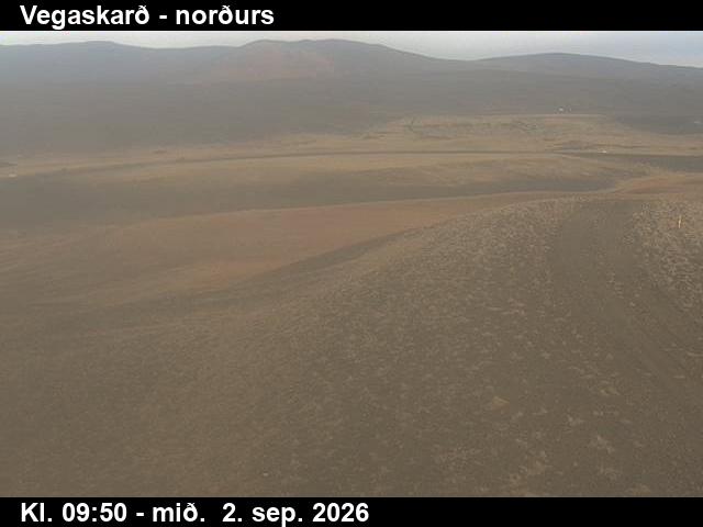 vegaskard_4-1788350503.jpg