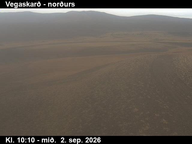 vegaskard_4-1788351949.jpg
