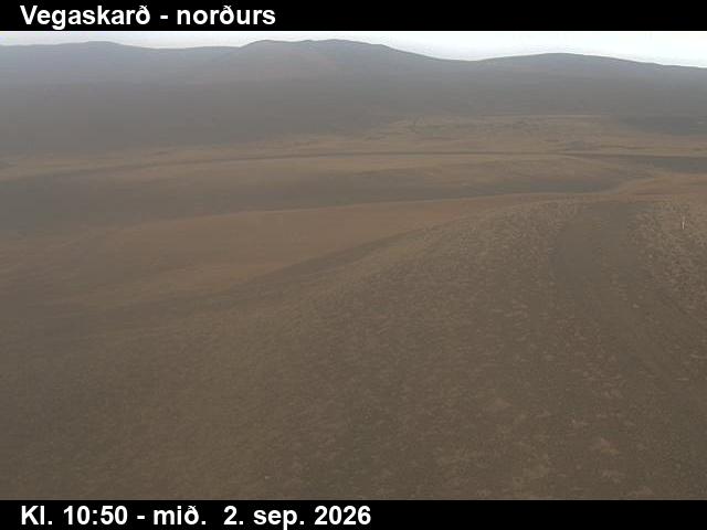 vegaskard_4-1788354140.jpg