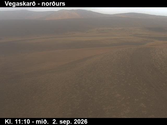 vegaskard_4-1788355531.jpg