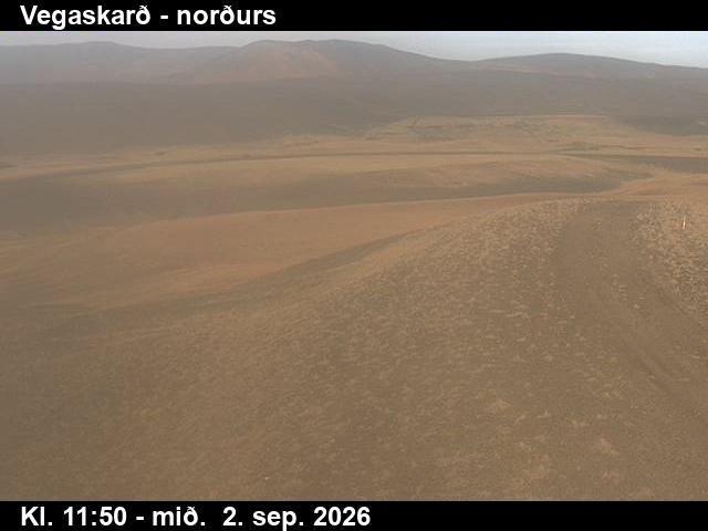 vegaskard_4-1788357650.jpg