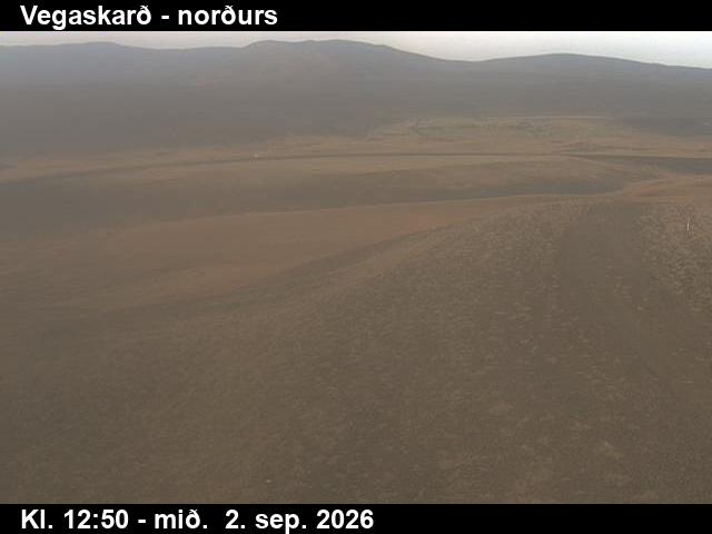vegaskard_4-1788361296.jpg