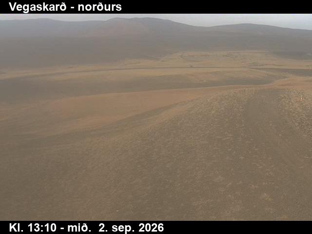 vegaskard_4-1788362748.jpg