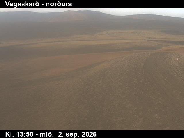 vegaskard_4-1788364862.jpg