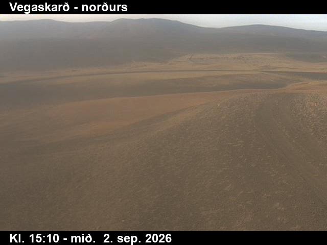vegaskard_4-1788369945.jpg