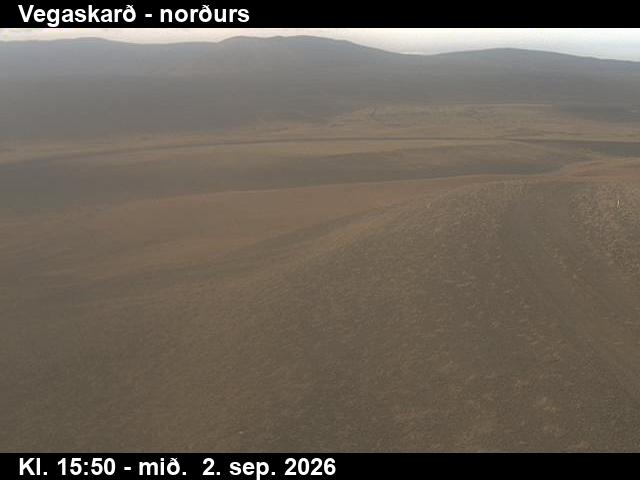 vegaskard_4-1788372139.jpg