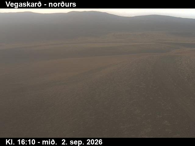 vegaskard_4-1788373538.jpg