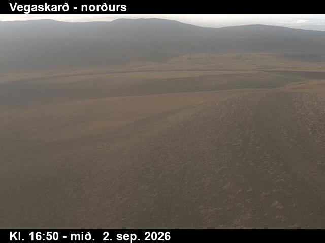 vegaskard_4-1788375943.jpg