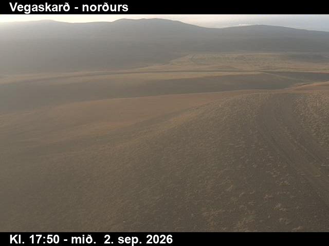 vegaskard_4-1788379272.jpg