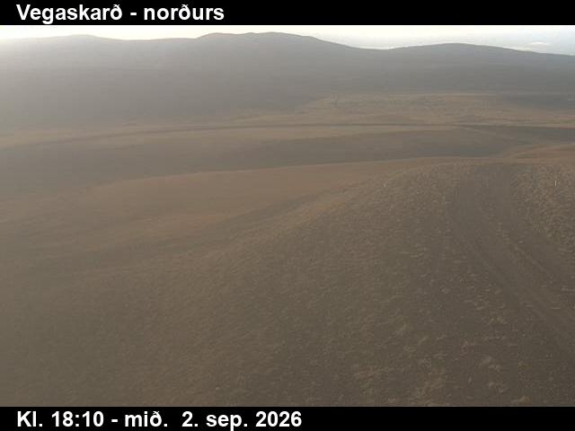 vegaskard_4-1788380736.jpg