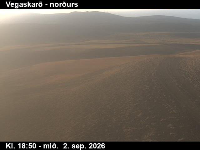 vegaskard_4-1788383156.jpg