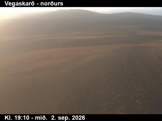vegaskard_4-1788384339.jpg