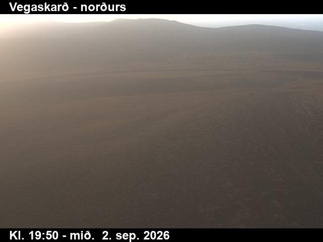 vegaskard_4-1788386486.jpg
