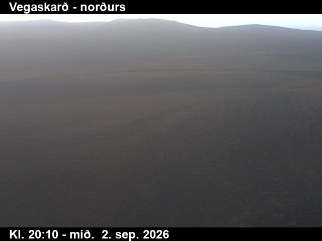 vegaskard_4-1788387944.jpg