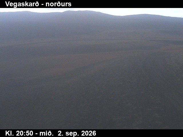 vegaskard_4-1788390073.jpg