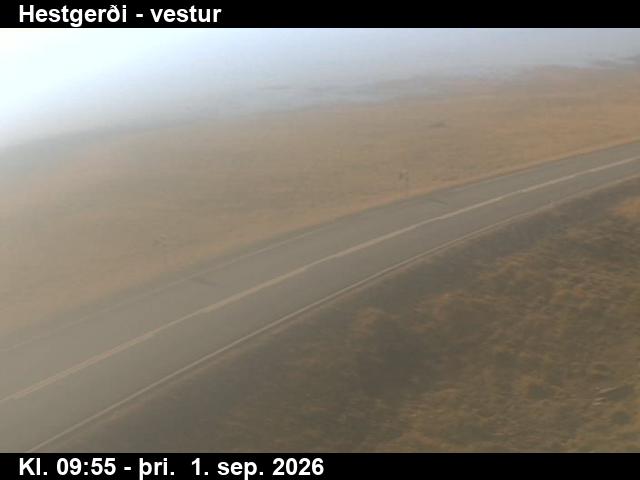 hestgerdi_3-1788264064.jpg