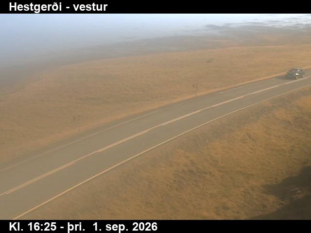 hestgerdi_3-1788287137.jpg