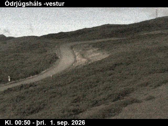 odrjugshals_4-1788231672.jpg