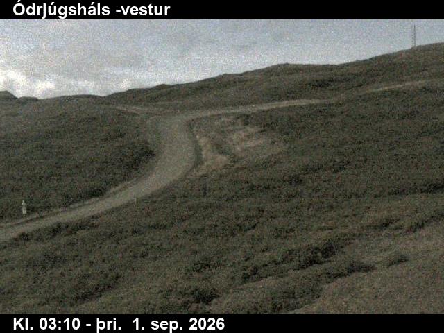 odrjugshals_4-1788240344.jpg
